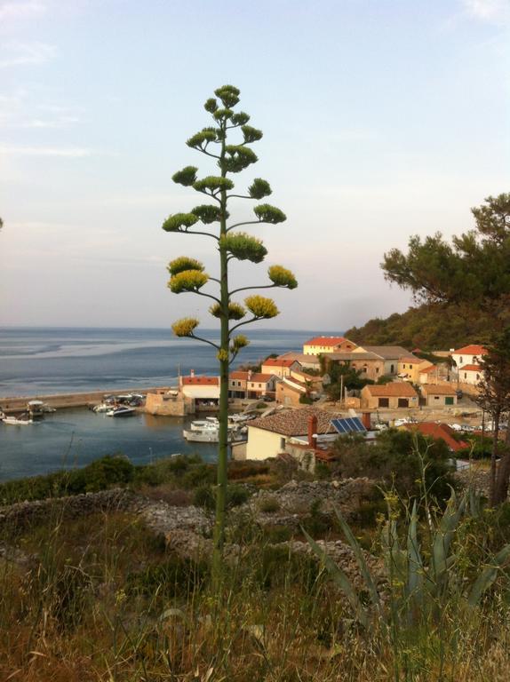 Apartments Katja Mali Lošinj Esterno foto